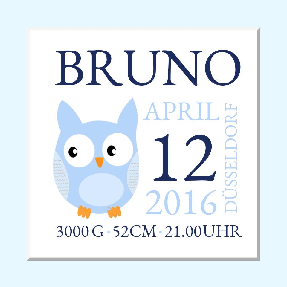 Eule- Personalisiertes Geburtsanzeige mit Namen und Geburtsdaten - Geburtskissen - Geschenk zur Geburt - Geschenk zur Taufe - Taufgeschenk