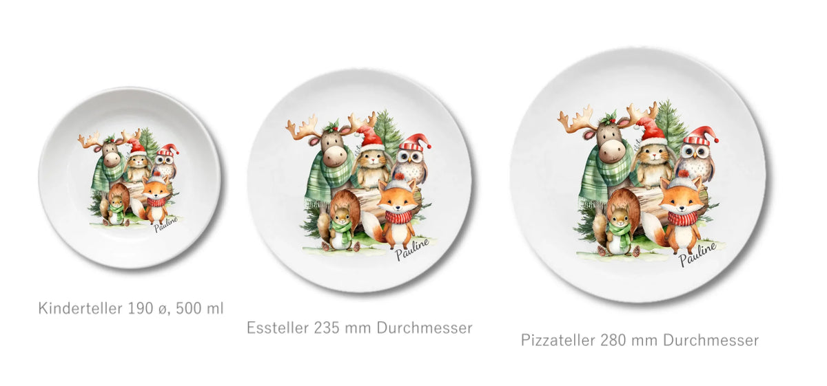Kinderteller + flacher + Pizzateller