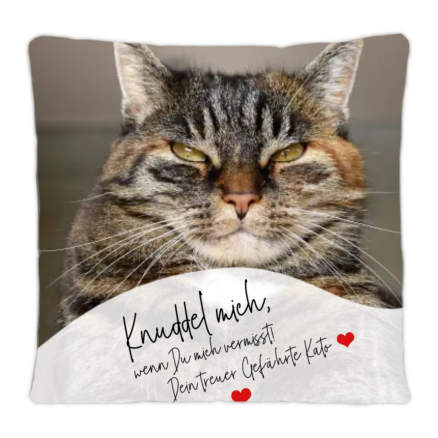 Personalisiertes Tier-Kissen | Tierliebhaber Haustier Kissen mit Text | Knuddel mich | Drück mich, wenn Du mich vermisst
