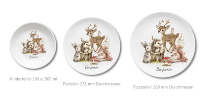 Kinderteller + flacher + Pizzateller